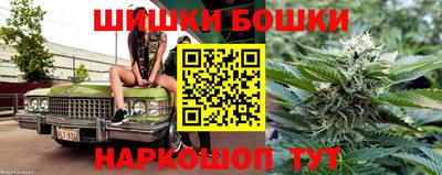 крисы Лесосибирск