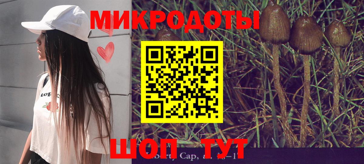 Псилоцибиновые грибы прущие грибы  Галлюциногенные грибы Psilocybe  Воркута  Вход с VPN 