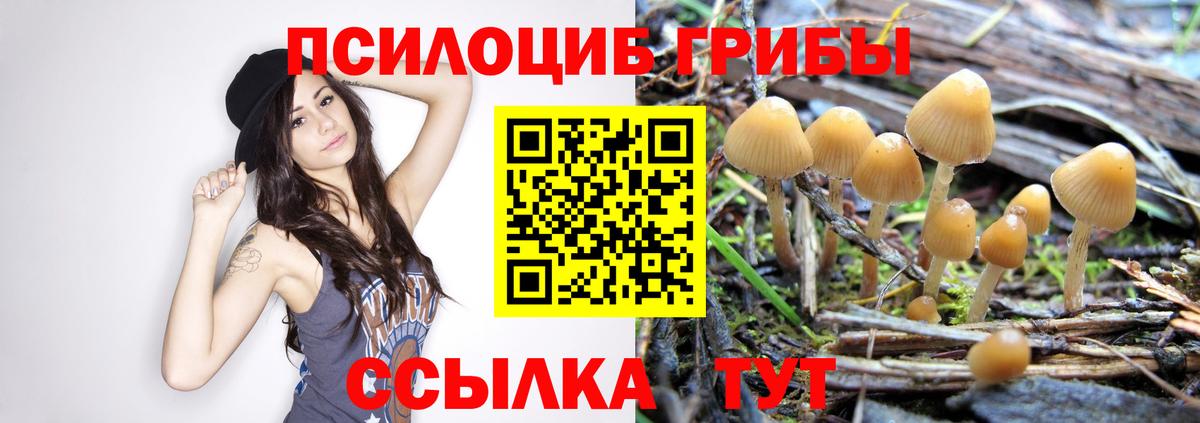 Псилоцибиновые грибы ЛСД Воркута